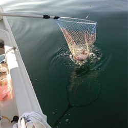 SFC プライベートボートで仙台湾根回り