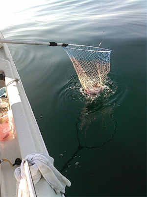 SFC プライベートボートで仙台湾根回り