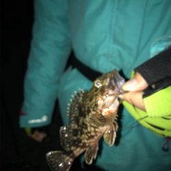 久しぶりの餌釣り