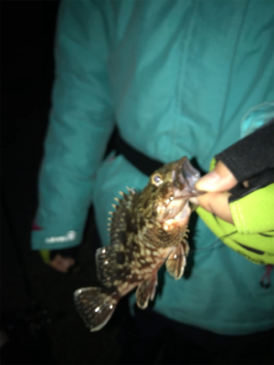 久しぶりの餌釣り