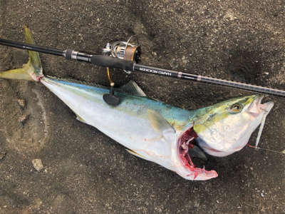 鬼ヶ城ライトソルト