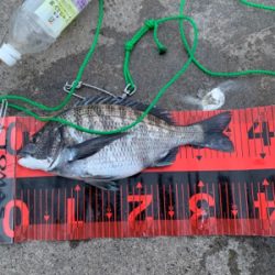 何とか１匹ゲット