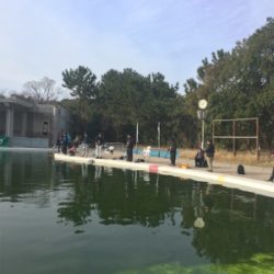 エリアトラウト