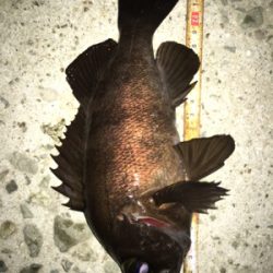 色んなパターンでメバリング