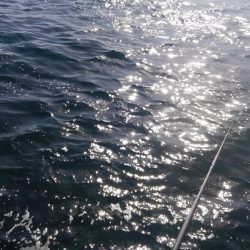 風の止み間に　ヒット