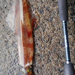 帰ろうとしたら、連発⁉