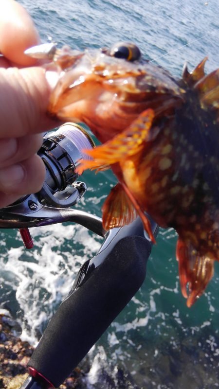 渋ーいけどあったかい♨