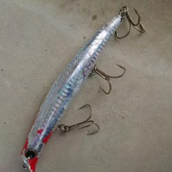 朝練ヒラスズキ釣行ｗ良型ゲットｗ