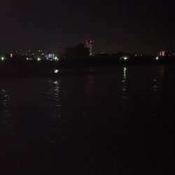 明石短時間釣行