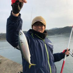 イワシ、サバ爆釣