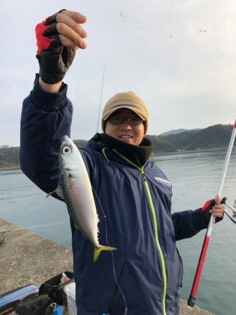 イワシ、サバ爆釣