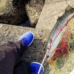 ボラ、ボラ、ボラ、人、人、人