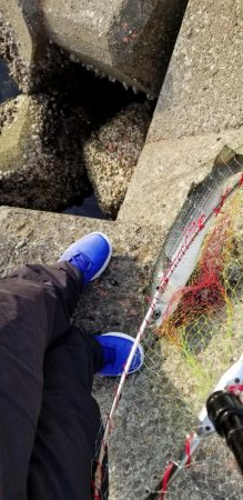 ボラ、ボラ、ボラ、人、人、人