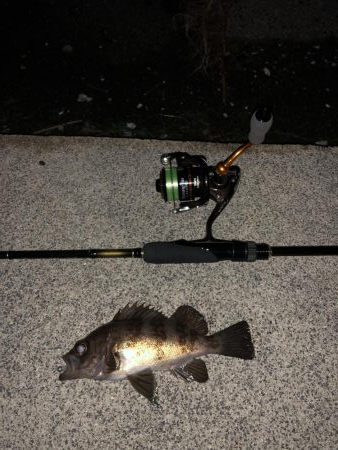 NEWのロッド鱗付けに