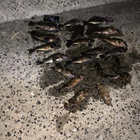 メバリングやっほい