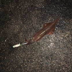 最後の一投で！