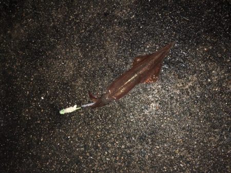 最後の一投で！