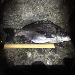 メバリングがチニングに