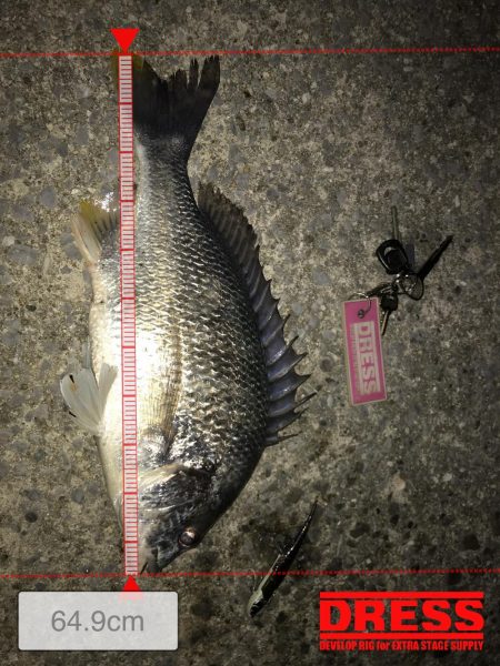 爆釣メジャーがバグってとんでもないサイズに！