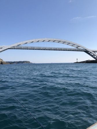 マダイ苦戦模様