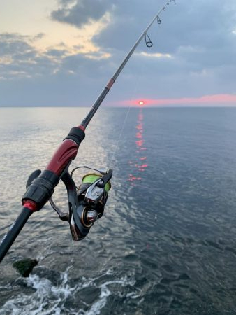 今回は中層でアタリ多数!