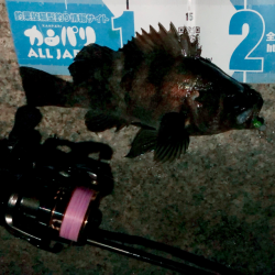 爆風の中の入魂