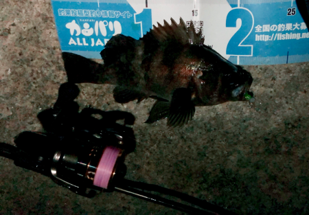 爆風の中の入魂