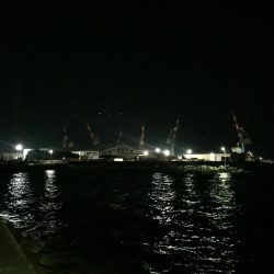 出張先の楽しみ②