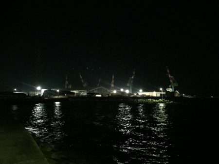 出張先の楽しみ②