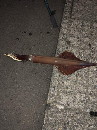 イカが食べたくて…