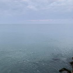 やっぱりボトムで高活性!