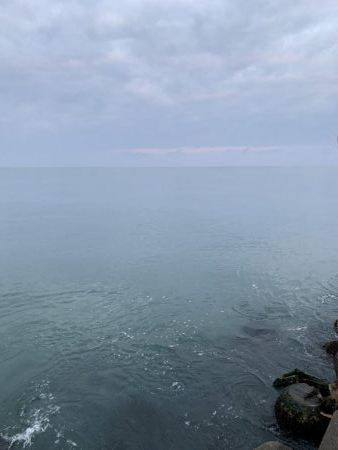 やっぱりボトムで高活性!