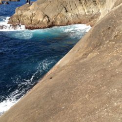 大島新ホリモンでグレ