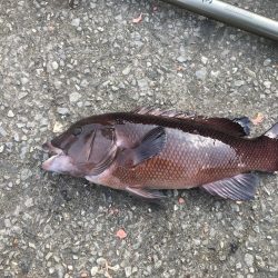 冬のモンスター討伐（カンダイ）