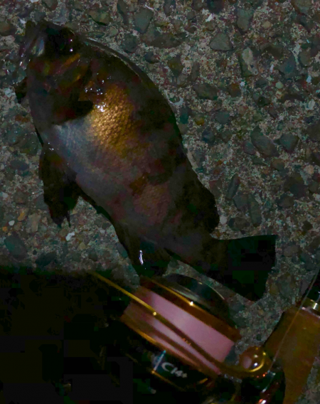 サイズはgood、数はbad。