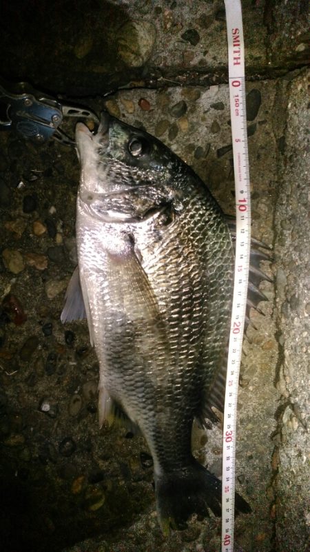 初フィッシュ！