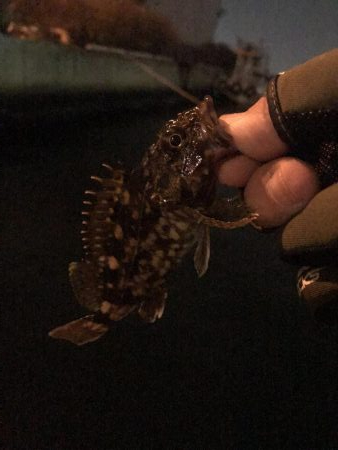 ２週間ぶりの釣行