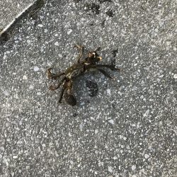 ボトムを丁寧にリフトアンドフォール