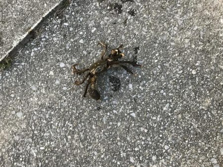 ボトムを丁寧にリフトアンドフォール