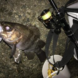 貧果から脱出です