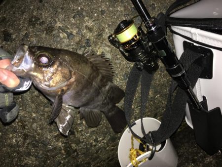 貧果から脱出です