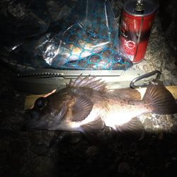 今宵もプラグ縛り