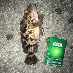 メバリングのはずが…