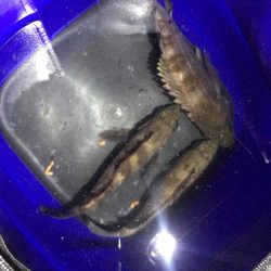 あいかわらず厳しい