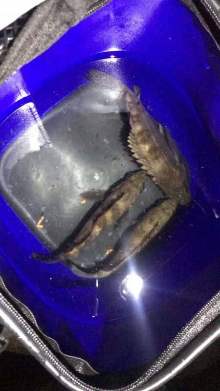 あいかわらず厳しい