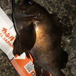 まずまずメバリング