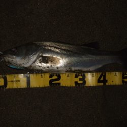 真冬から春のパターンへ