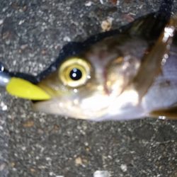 仕事帰りにちょっとだけ