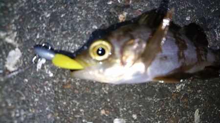 仕事帰りにちょっとだけ