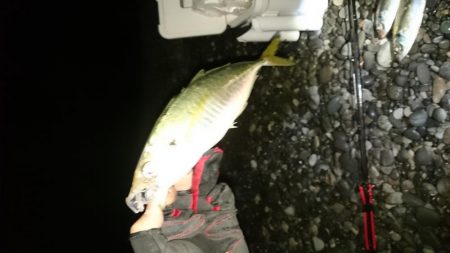 フロートアジング～